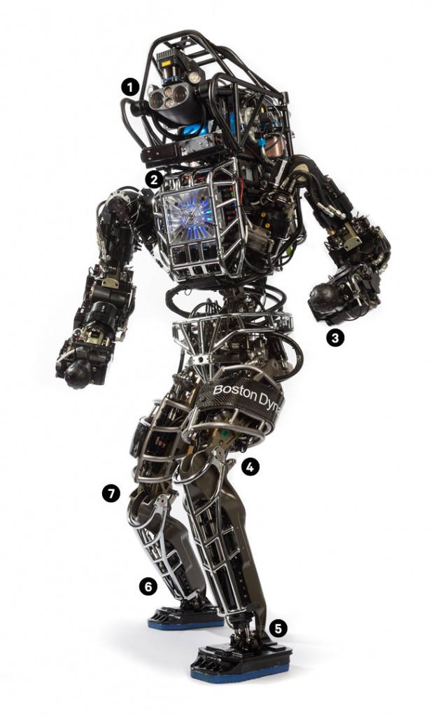 atlas robot - gerçek bilim