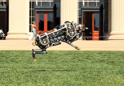 robot çita-gerçek bilim